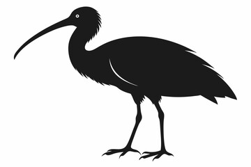 Ibis bird black silhouette, ibis bird animal vector illustration