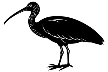 Ibis bird black silhouette, Spoonbill Vector, ibis bird animal vector illustration