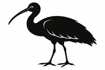 Ibis bird black silhouette, ibis bird animal vector illustration