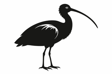 Ibis bird black silhouette, ibis bird animal vector illustration