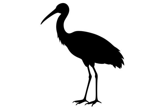 recommend clip art: Ibis bird black silhouette, Spoonbill Vector, ibis bird animal vector illustration