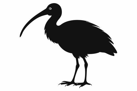 recommend clip art: Ibis bird black silhouette, Spoonbill Vector, ibis bird animal vector illustration