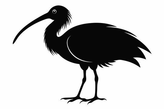 recommend clip art: Ibis bird black silhouette, Spoonbill Vector, ibis bird animal vector illustration
