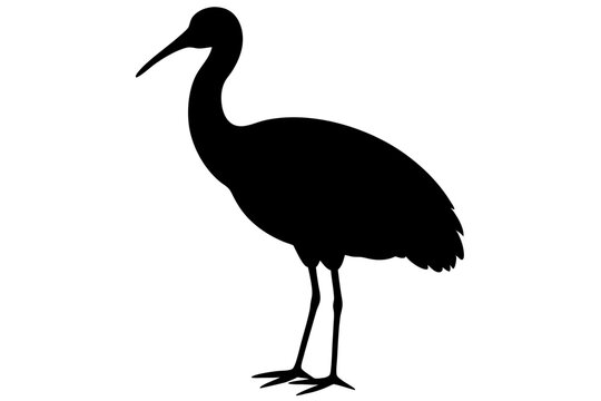 recommend clip art: Ibis bird black silhouette, ibis bird animal vector illustration