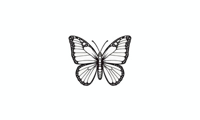 Black and White Butterfly Illustration 

