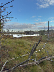 
Cena tirelis is the second largest bog in Latvia