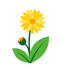 Obraz premium Yellow Flower with Green Leaves 