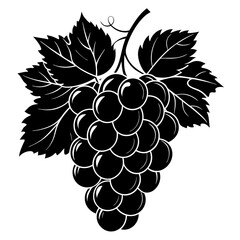 illustration of grapes