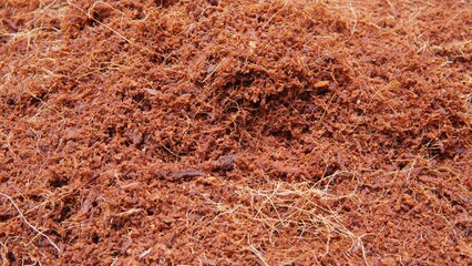 texture background from cocopeat. Cocopeat is a planting medium made from coconut fiber