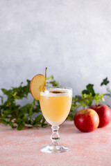 Apple cider cocktail with cinnamon and apple slice garnish