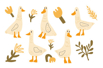 Set of geese with flowers. Goose characters. Vector hand drawn collection illustration isolated on white background.