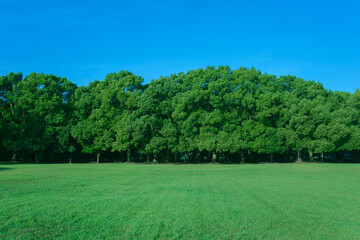 Green Park