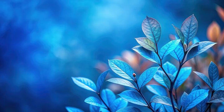 Blue plant leaves contrasting against a blue background in the fall season , nature, plant, leaves, blue, fall, season