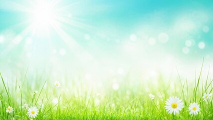 Fototapeta premium A serene landscape featuring bright sunlight, lush grass, and blooming daisies.