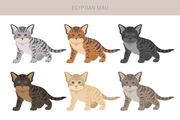 Egyptian Mau Cat clipart. All coat colors set.  All cat breeds characteristics infographic. Vector illustration