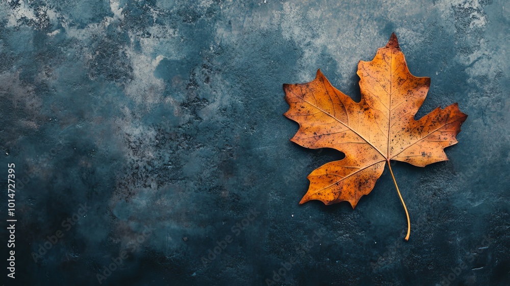 Canvas Prints A leaf is on a blue background