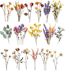 a bunch of dried flowers isolated on white background