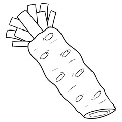 wasabi illustration hand drawn outline vector