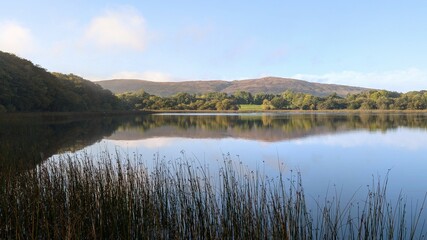 Fototapeta premium Beautiful morning lakeside landscape scenery, mountains reflected in Ross lake, county Galway, Ireland, nature background