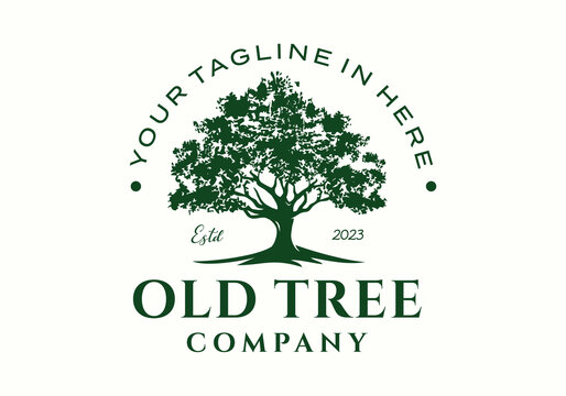 Tree of life hipster vintage logo icon vector design illustration
