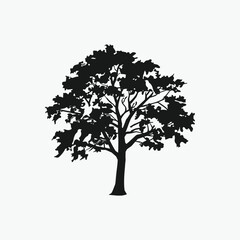 tree silhouette isolated on white background
