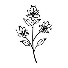 wild flower silhouette