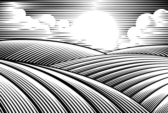 Rolling Hills Drawing In A Vintage Woodcut Style