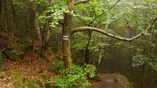 Slężański Park Krajobrazowy