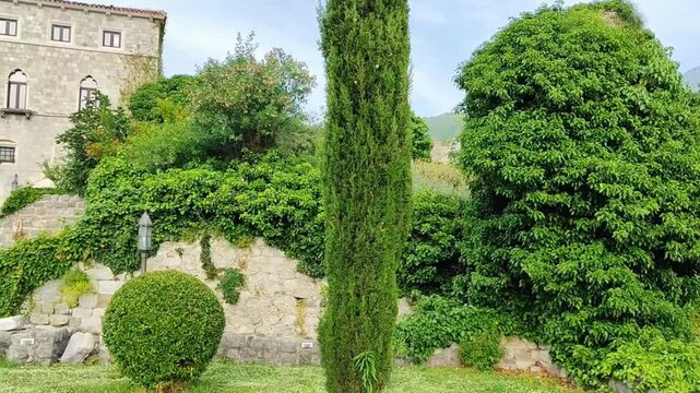 Remains of a historical fortress on a mountain in Ulcinj, Montenegro. Stone, ancient houses, trees.
