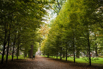 Tężnia w parku Lasek w Czechowicach Dziedzicach, Śląsk.  © Elżbieta Kaps