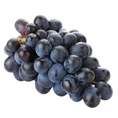 Fresh Bunch of Juicy Dark Purple Grapes with Water Droplets