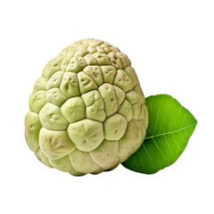 Fototapeta premium Fresh Custard Apple with Leaf Isolated on White Background