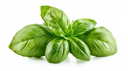 Tennis court lines marker isolated on a white background simple and realistic design for sports-themed illustrations. Generative AI