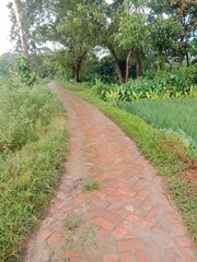 Obraz premium path in the park