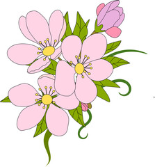 pink flower illustration