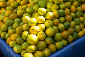 Fresh citrus fruits stacked in a vibrant blue crate at a local market during midday