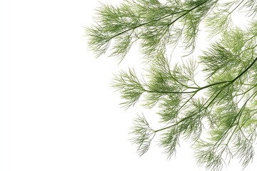 Obraz premium A bird is sitting on a branch of a tree, possibly waiting for food or taking a break