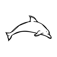 dolphin water mammal animal line icon vector. dolphin water mammal animal sign. isolated symbol illustration