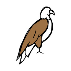 eagle bird line icon vector. eagle bird sign. isolated symbol illustration