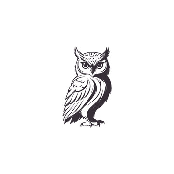 recommend clip art: Owl silhouettes, Barn owl silhouette, Owl silhouettes vector illustration, Owl clipart, Owl silhouette vector art isolated white background