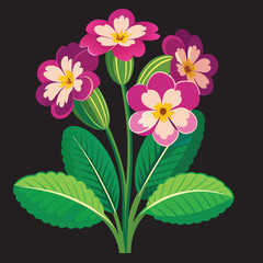 How To create a primrose flowers Vector 3D Image