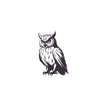 recommend clip art: Owl silhouettes, Barn owl silhouette, Owl silhouettes vector illustration, Owl clipart, Owl silhouette vector art isolated white background