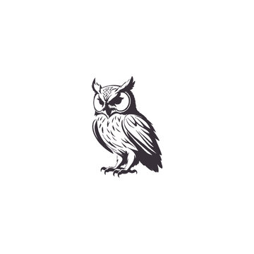 recommend clip art: Owl silhouettes, Barn owl silhouette, Owl silhouettes vector illustration, Owl clipart, Owl silhouette vector art isolated white background