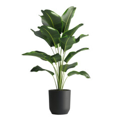 Lush Green Indoor Plant with Elegant Leaves in a Stylish Pot.