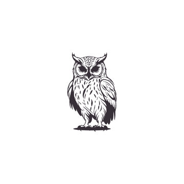 recommend clip art: Owl silhouettes, Barn owl silhouette, Owl silhouettes vector illustration, Owl clipart, Owl silhouette vector art isolated white background
