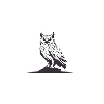 recommend clip art: Owl silhouettes, Barn owl silhouette, Owl silhouettes vector illustration, Owl clipart, Owl silhouette vector art isolated white background