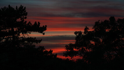 Atmospheric afterglow behind trees in silhouette.