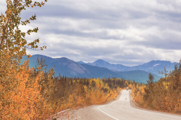 Autumn road