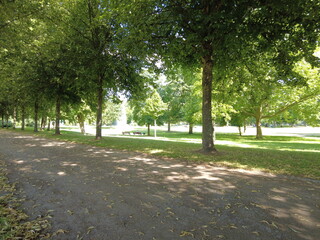 tree-lined walking path in the park
