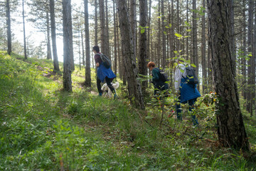 Obraz premium Multi generation family walking in line up the hill on a trail in a forest during a camping holiday, Zlatibor, Serbia. Happy senior father and mother with adult woman child have fun on weekend enjoy